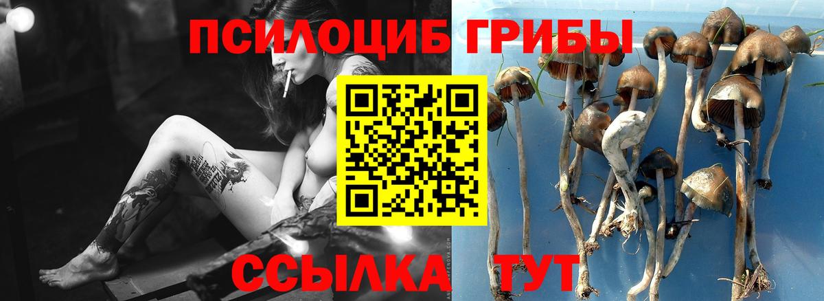 Псилоцибиновые грибы прущие грибы  Вход с VPN  Саранск  Галлюциногенные грибы мухоморы 